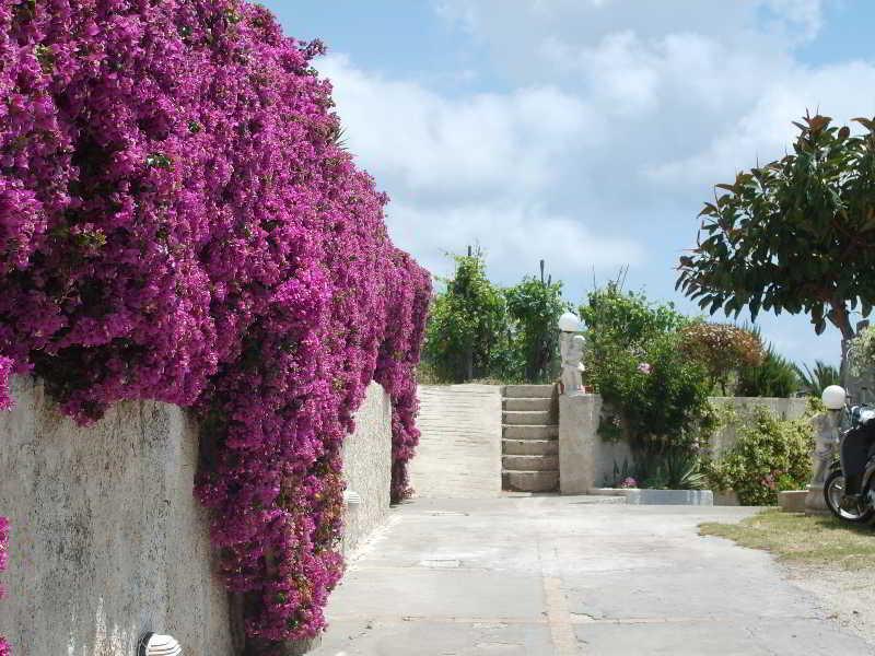 Villa Natalina Forio di Ischia Exterior foto